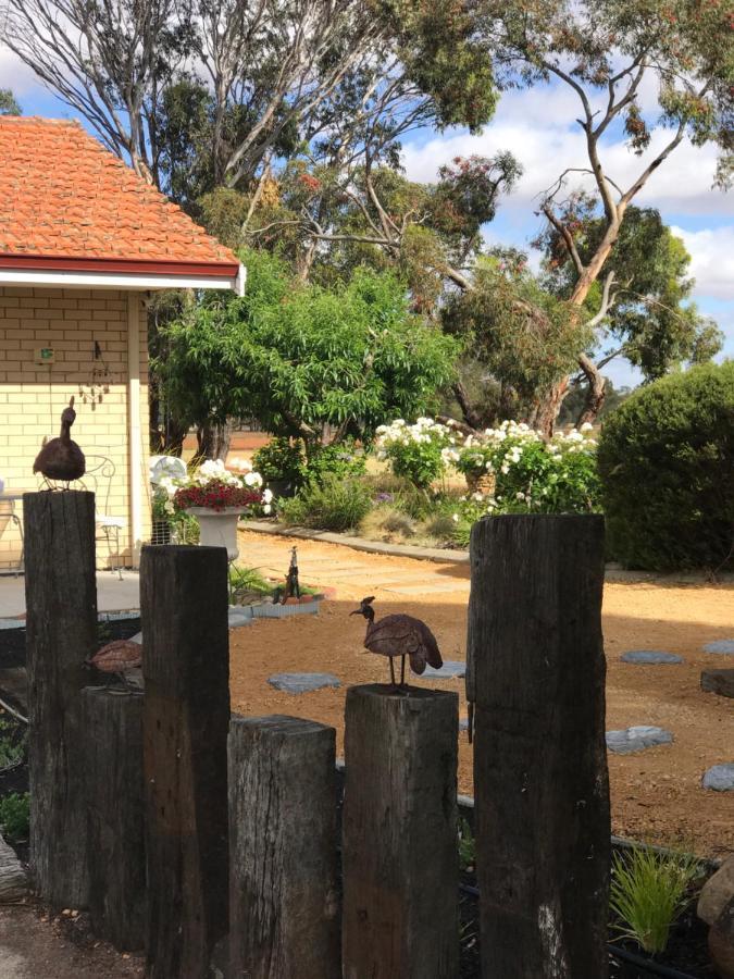 Yellow Gum Bed And Breakfast Katanning 외부 사진