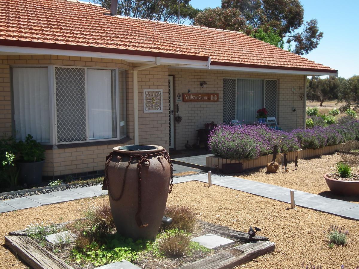 Yellow Gum Bed And Breakfast Katanning 외부 사진