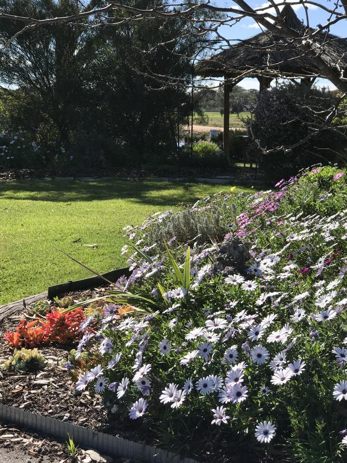 Yellow Gum Bed And Breakfast Katanning 외부 사진