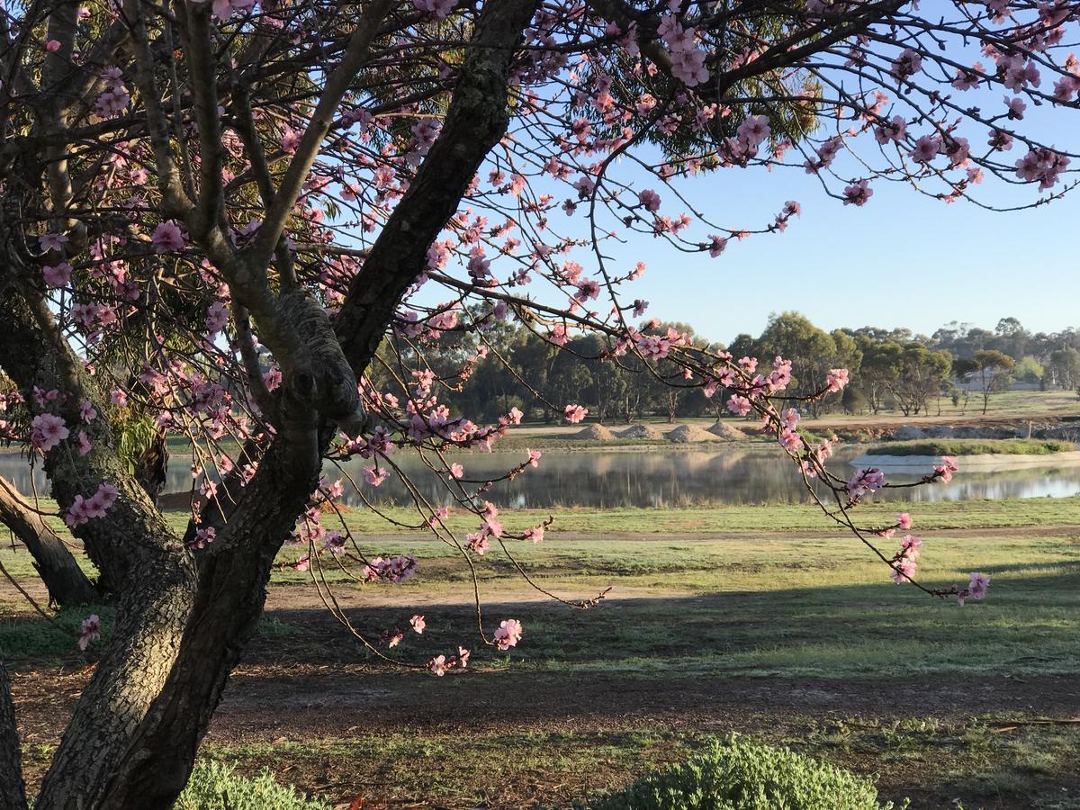 Yellow Gum Bed And Breakfast Katanning 외부 사진